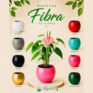 Macetas de fibra de vidrio