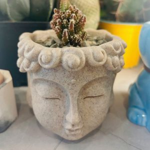 Maceta rostro