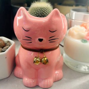 Maceta gatito