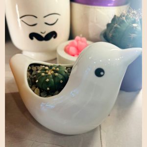 Maceta pajarito