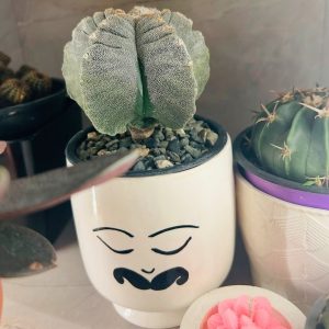 Maceta Señor de bigote