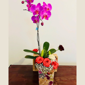 Regalo 10