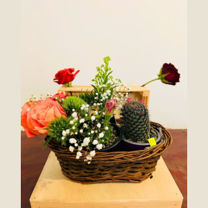 Regalo 16