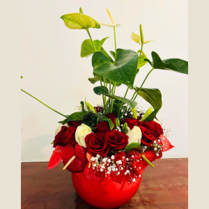Regalo 5