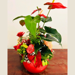 Regalo 9