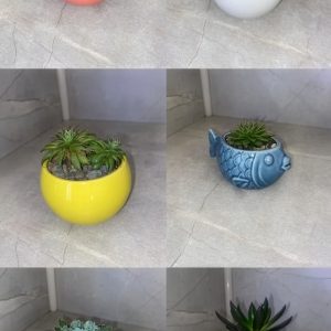 Suculentas Variadas Miniatura con Maceta Pequeña